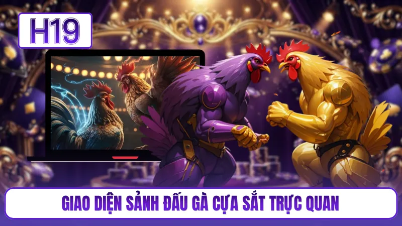 Giao diện sảnh đấu gà cựa sắt trực quan